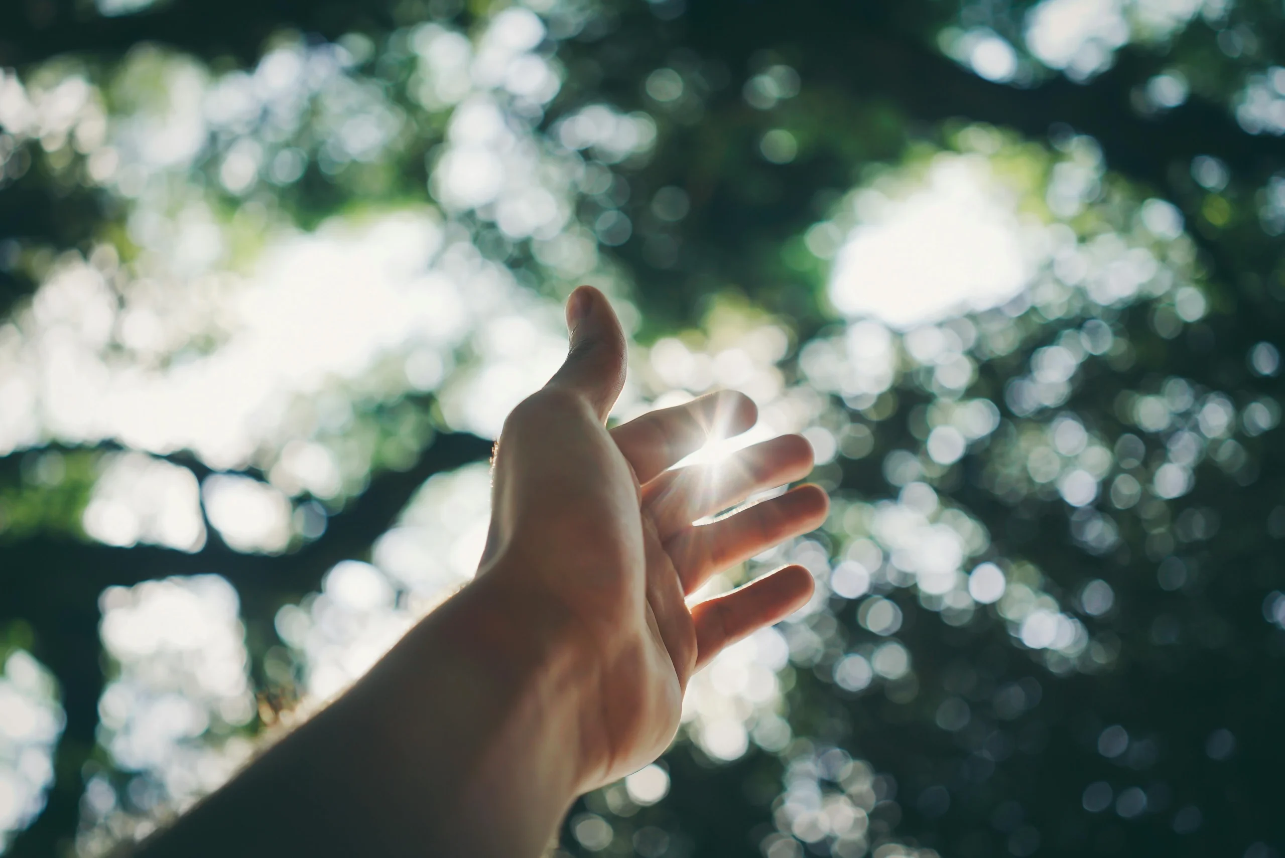DKN - About Us - Our Approach - 01